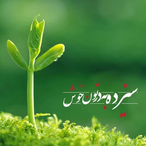 ۱۳ فروردین